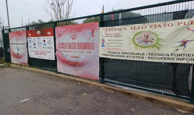 大乐透走势图带线图-【专栏】王勤伯：感谢女儿把我带回了另一个年纪